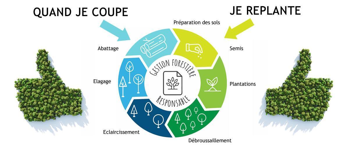 Production de fibres vierges : Un cercle vertueux pour les forêts d'europe.