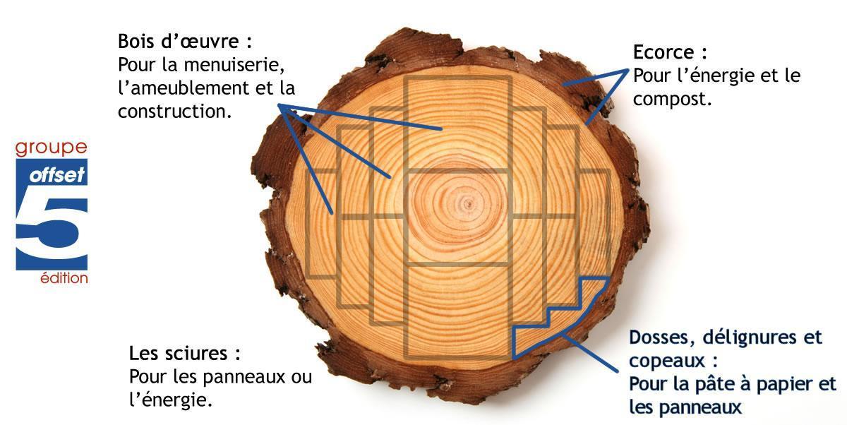 part-du-bois-utilisee-dans-la-production-de-fibre-vierge