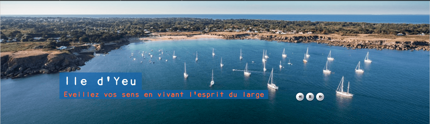 avis-client-offset-5-SYNDICAT-VENDEE-DES-ILES