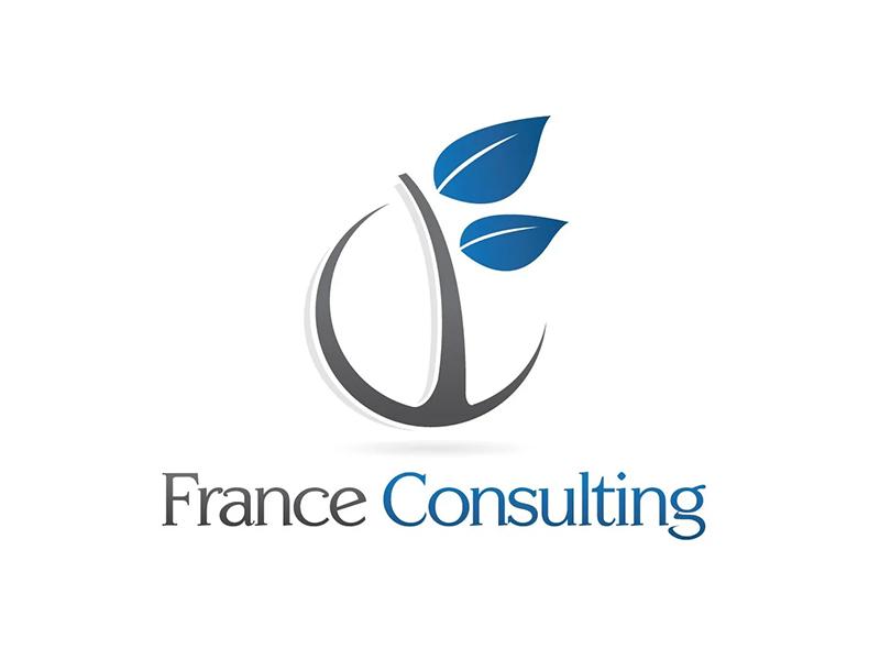 avis-client-offset-5-FRANCE-CONSULTING