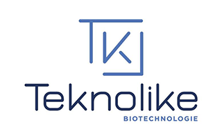 TEKNOLIKE