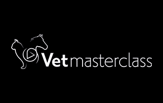 SAS VETMASTERCLASS HORSE