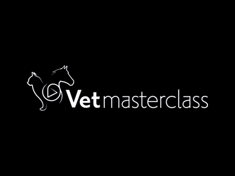 avis-client-offset-5-SAS VETMASTERCLASS HORSE